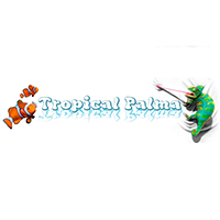 TROPICAL PALMA