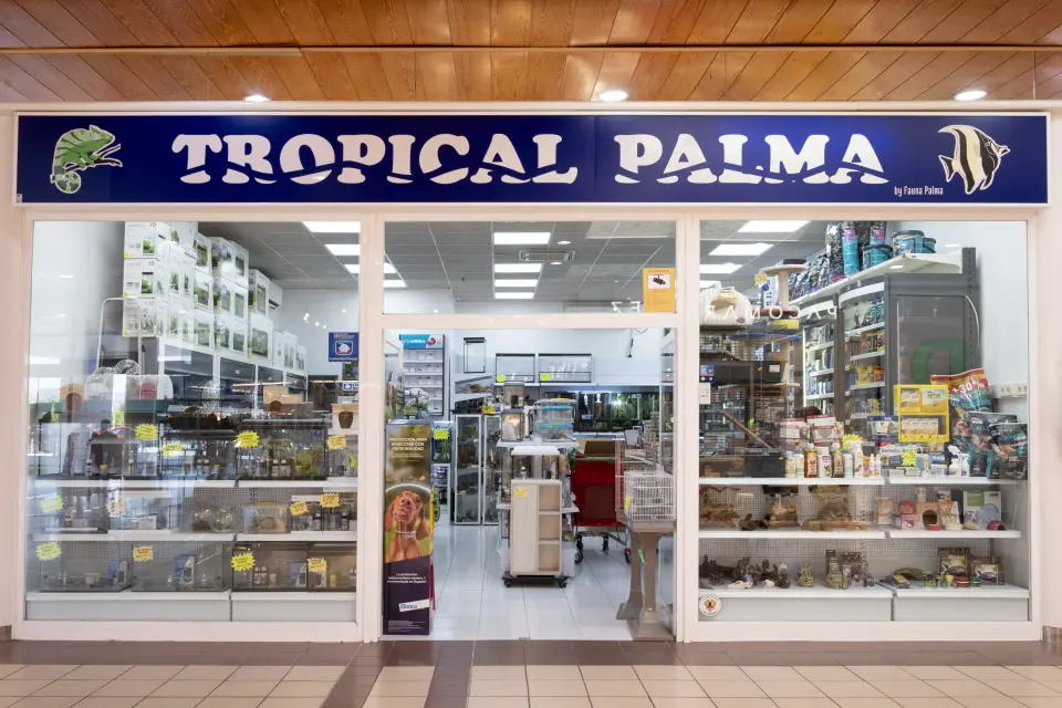 TROPICAL PALMA
