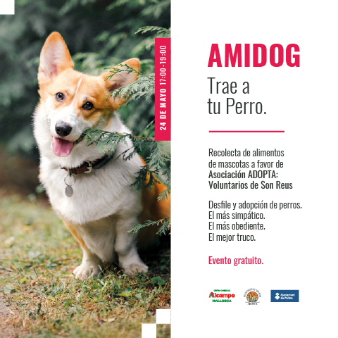 AMIDOG Un día para ellos y por ellos