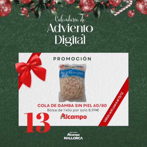 Oferta Día 13