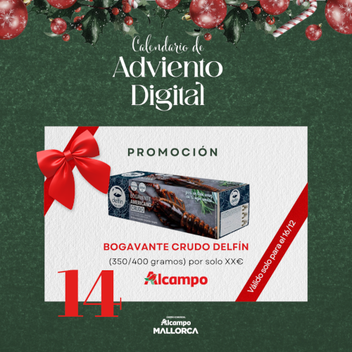 Oferta Día 14